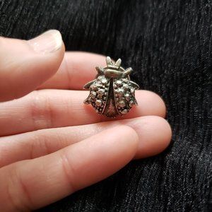Vintage Lady Bug Pin